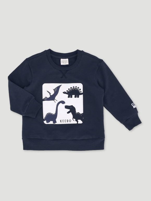 Boys Dino Fleece Top