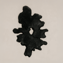 Oribi Wall Art