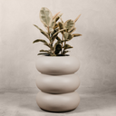 Otteplanter