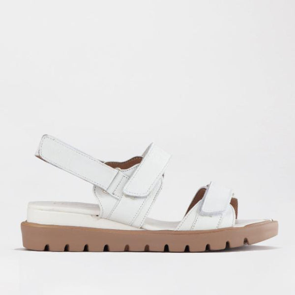 Mary Jane Suede Flat In Brown - 13050