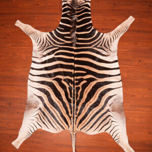 AA Grade Zebra Hide 219.jpg