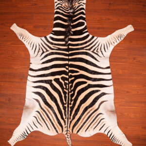 AA Grade Zebra Hide 22.jpg