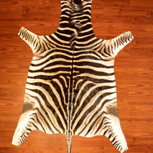 AA Grade Zebra Hide 252 M.jpg