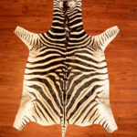AA Grade Zebra Hide 270 M.jpg