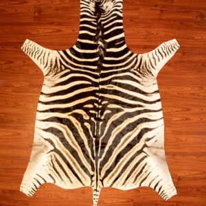 AA Grade Zebra Hide 270 M.jpg