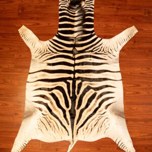 AA Grade Zebra Hide 271 M.jpg