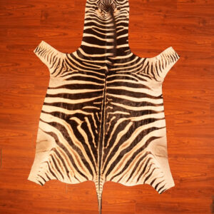 AA Grade Zebra Hide 444.jpg