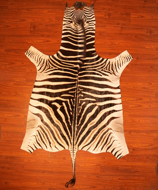 AA Grade Zebra Hide 444.jpg