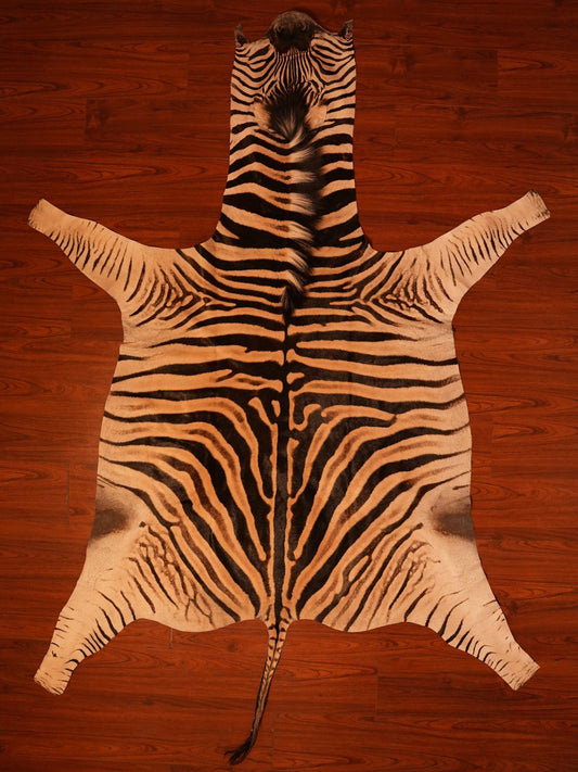 AA Grade Zebra Hide 488.jpg