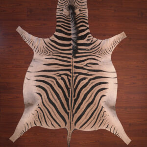 nguni guy zebra hide rug carpet00645.jpg