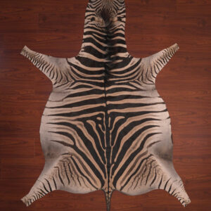 nguni guy zebra hide rug carpet00657.jpg