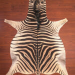 nguni guy zebra hide rug carpet09846.jpg