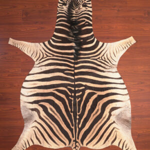 nguni guy zebra hide rug carpet09846.jpg