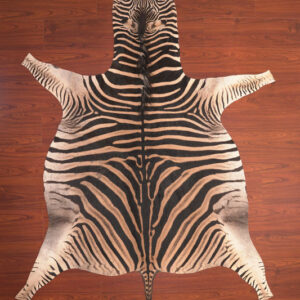 nguni guy zebra hide rug carpet09850.jpg