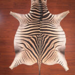 nguni guy zebra hide rug carpet09948.jpg