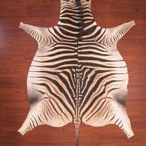 nguni guy zebra hide rug carpet09948.jpg