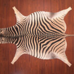 nguni guy zebra hide rug carpet09958.jpg