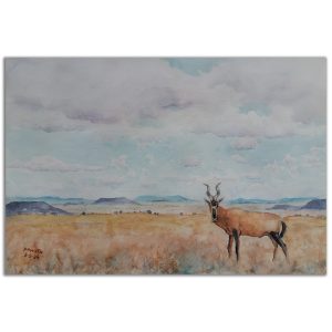 3. Novellie 39cm by 26cm 1 300x300 1.jpg