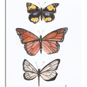 Unsung Art Butterflies 2 by Kerri Sassen 1 300x300 1.jpg