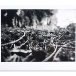 Unsung Art Caitlin Mkasibe Sally Mann Inspired i 300x300 1.jpg