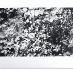 Unsung Art Caitlin Mkasibe Sally Mann Inspired ii 300x300 1.jpg