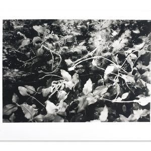 Unsung Art Caitlin Mkhasibe Sally Mann iv 300x300 1.jpg