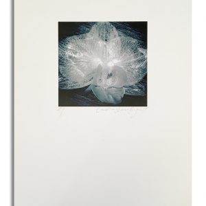 Unsung Art Candice Dawn Blignaut Orchid 4 300x300 1.jpg