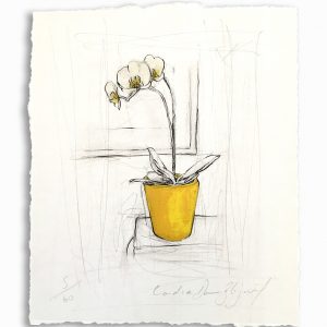 Unsung Art Candice Dawn Blignaut Orchid Still Life Small 300x300 1.jpg