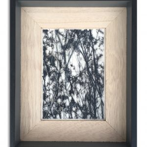 Unsung Art Carolina Overbeek Ethereal Botanical iii 300x300 1.jpg
