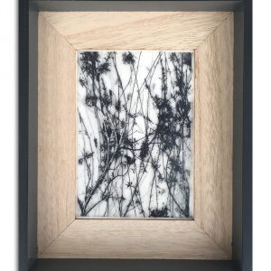 Unsung Art Carolina Overbeek Ethereal Botanical iv 300x300 1.jpg