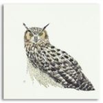 Unsung Art Kerri Sassen Owl Watch You 300x300 1.jpg