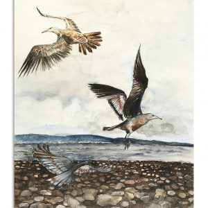 Unsung Art Kerri Sassen Rainy Daze 300x300 1.jpg