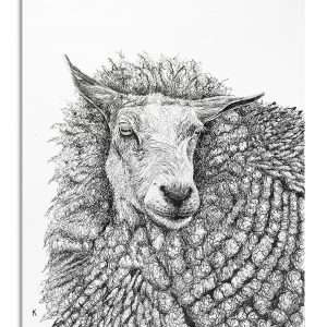 Unsung Art Kerri Sassen Sheepish 2 300x300 1.jpg