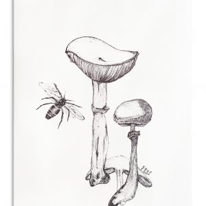 Unsung Art Monet Bonsma Mushrooms and Bee 300x300 1.jpg