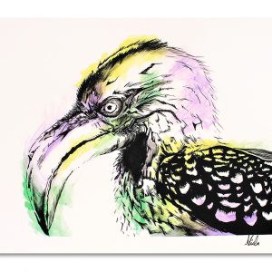Unsung Art Nicla Hornbill 300x300 1.jpg