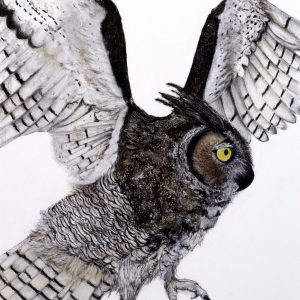 Unsung Art Whisper Great Horned Owl Katherine Kelly 300x300 1.jpg