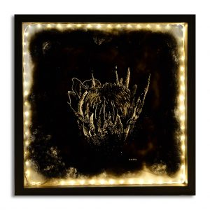 Unsung art caitlin mkhasibe lightbox 300x300 1.jpg